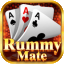 rummy 65